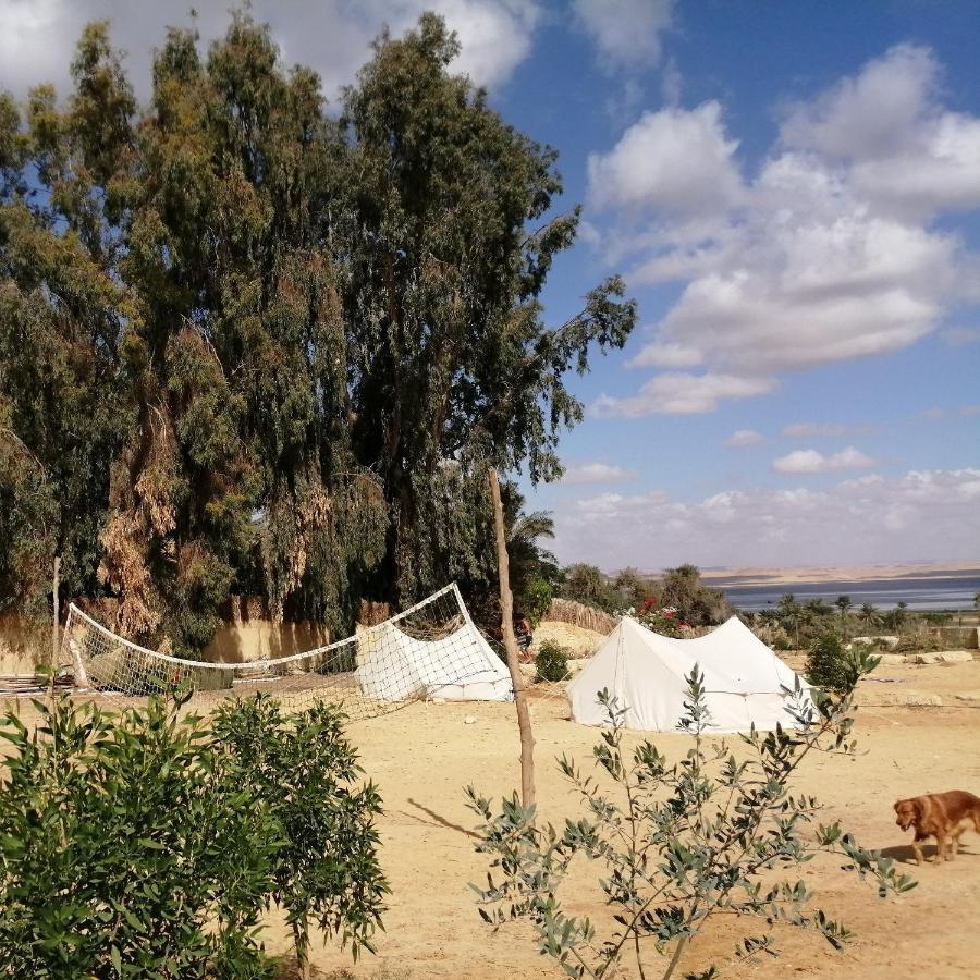 Tunis Village El-Al Fayyūm 部屋 写真