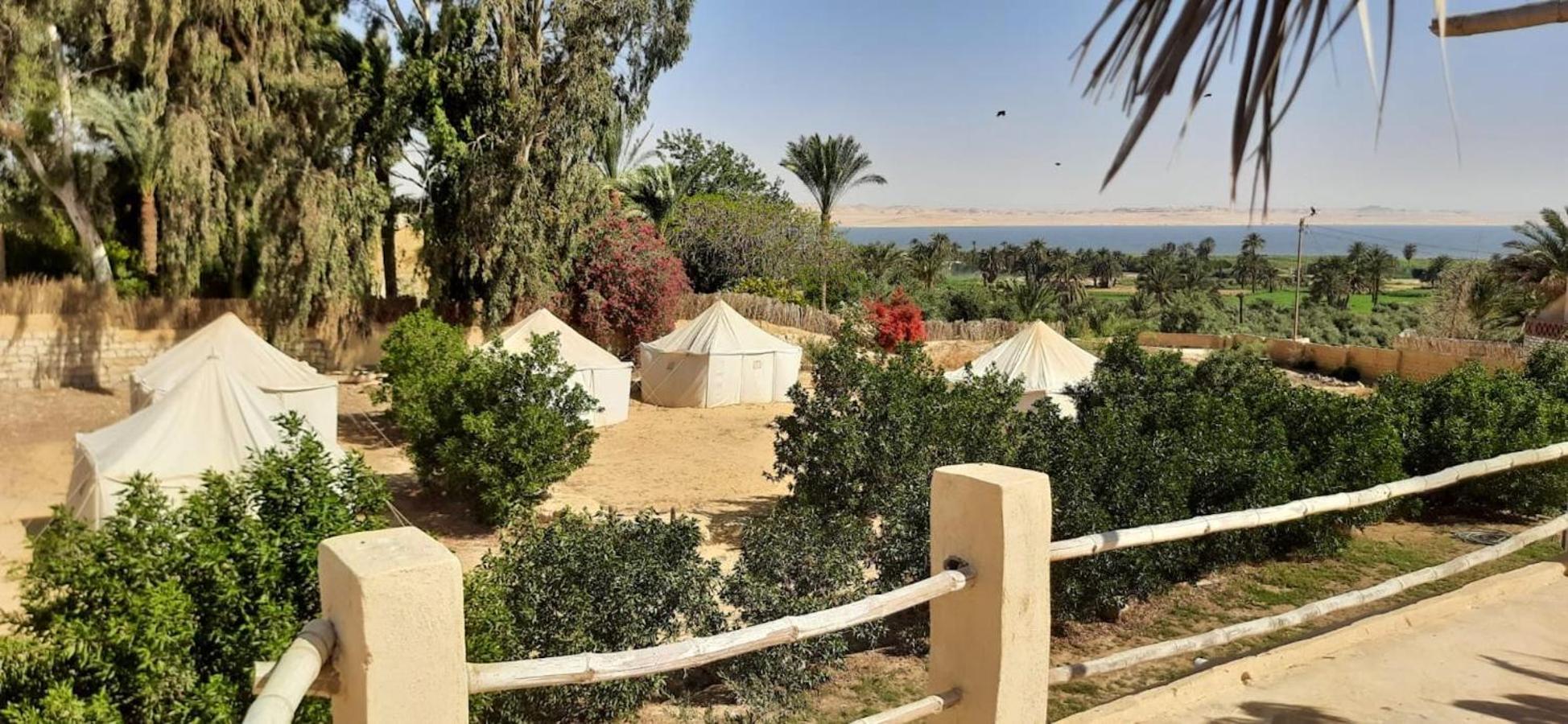 Tunis Village El-Al Fayyūm エクステリア 写真